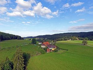 Tennenbronn vom Mittelberg