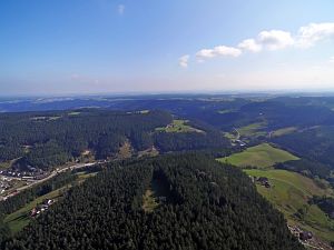 Tennenbronn vom Mittelberg