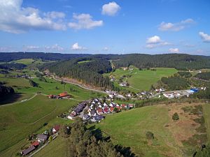 Tennenbronn vom Mittelberg