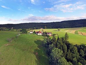 Tennenbronn vom Mittelberg