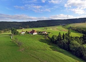 Tennenbronn vom Mittelberg