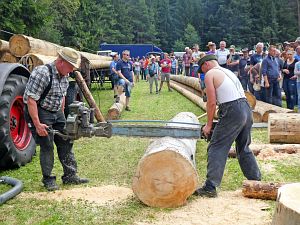 Oldtimertreffen Tennenbronn 2017
