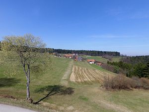 Ostergruesse aus Tennenbronn  