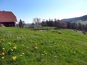 Ostergruesse aus Tennenbronn  
