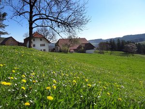 Ostergruesse aus Tennenbronn  