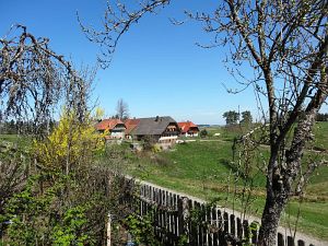 Ostergruesse aus Tennenbronn  