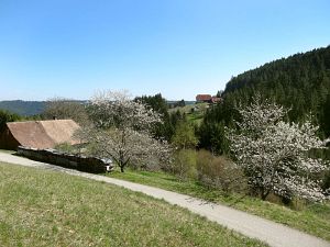 Ostergruesse aus Tennenbronn  