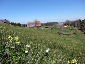 Ostergruesse aus Tennenbronn  