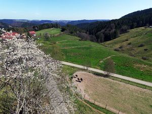 Ostergruesse aus Tennenbronn  