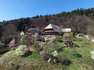Ostergruesse aus Tennenbronn  