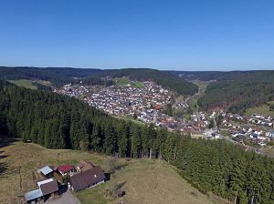 Ostergruesse aus Tennenbronn  