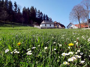 Ostergruesse aus Tennenbronn  