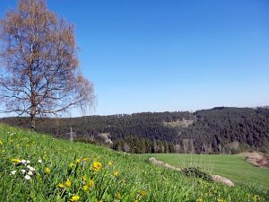 Ostergruesse aus Tennenbronn  