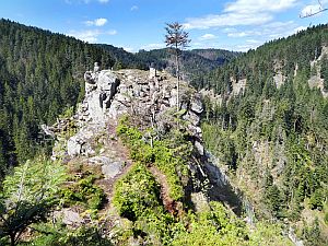 Ruine Berneck im Betonkorsett  