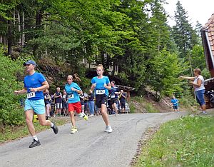 Schneiderrun 2017