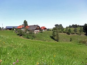 Sommerimpressionen Tennenbronn