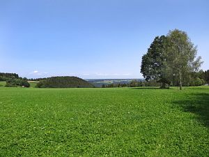 Sommerimpressionen Tennenbronn