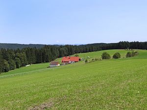 Sommerimpressionen Tennenbronn