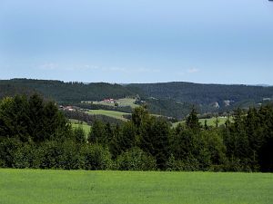 Sommerimpressionen Tennenbronn