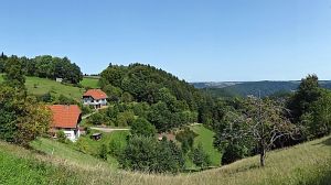 Sommerimpressionen Tennenbronn