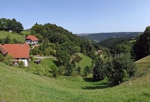 Sommerimpressionen Tennenbronn