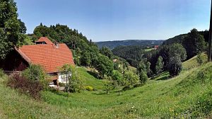 Sommerimpressionen Tennenbronn