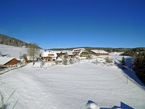 Wintertag in Tennenbronn