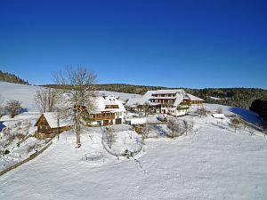 Wintertag in Tennenbronn