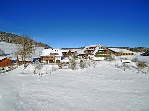 Wintertag in Tennenbronn
