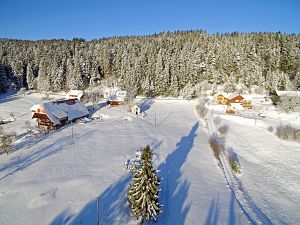 Wintertag in Tennenbronn
