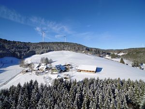 Wintertag in Tennenbronn