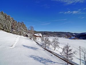 Wintertag in Tennenbronn
