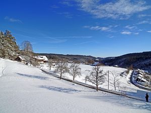 Wintertag in Tennenbronn