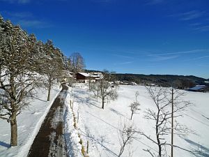 Wintertag in Tennenbronn