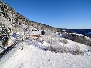 Wintertag in Tennenbronn