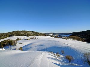 Wintertag in Tennenbronn