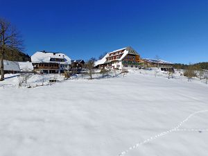 Winter in Tennenbronn