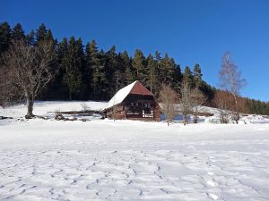 Winter in Tennenbronn
