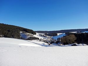 Winter in Tennenbronn