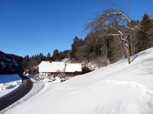 Winter in Tennenbronn