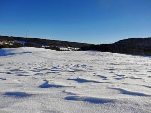 Winter in Tennenbronn