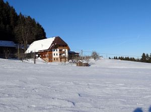 Winter in Tennenbronn