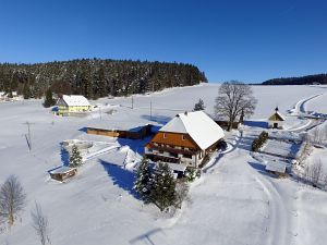 Winter in Tennenbronn