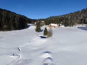 Winter in Tennenbronn