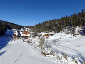 Winter in Tennenbronn