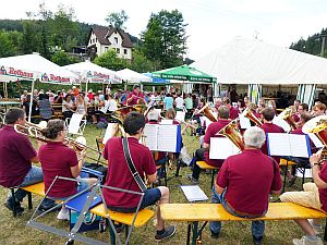 50 Jahre Buergervereinigung WLS