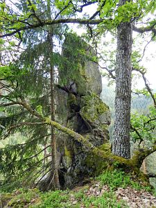 Bernecktal