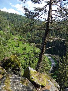 Bernecktal