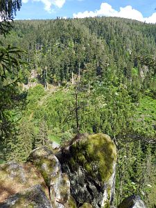 Bernecktal