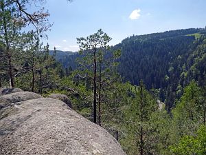 Bernecktal